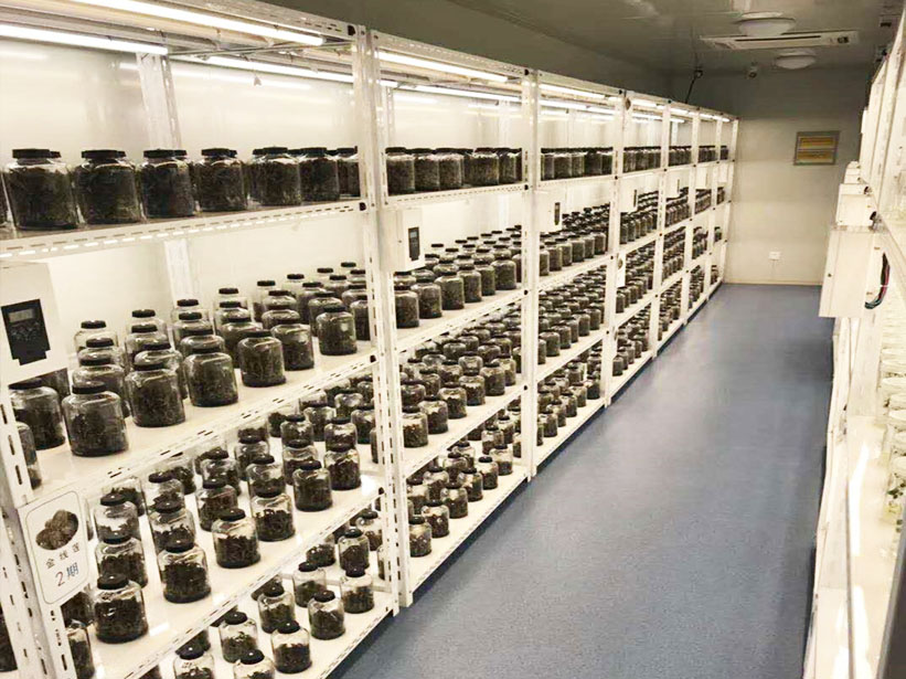 某組培脫毒種苗中心 植物組織培養(yǎng)實驗室